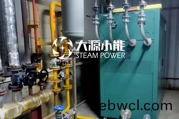 廣東某(mou)皮(pi)革(ge)廠安裝蒸(zheng)汽(qi)能1臺(tái)(tai)
