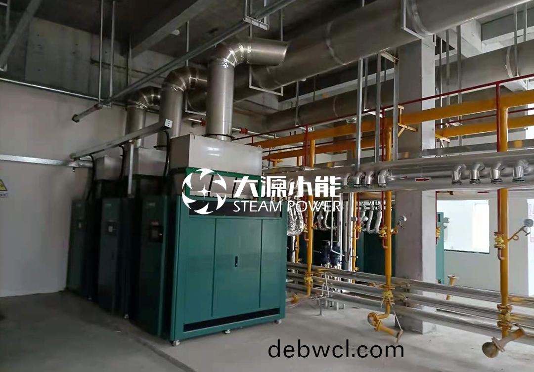 河(he)南駐馬(ma)店某屠宰(zai)場(chǎng)蒸(zheng)汽(qi)能(neng)案例1