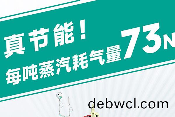 蒸汽發(fā)生器(qi)源(yuan)頭廠(chang)家(jia)直(zhi)銷(xiao)哪(na)家(jia)靠譜？